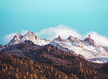 kaiyun-选举足球两开花 拜登主队拿下大联盟常规赛冠军